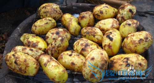 2014年云南昭通旅游攻略