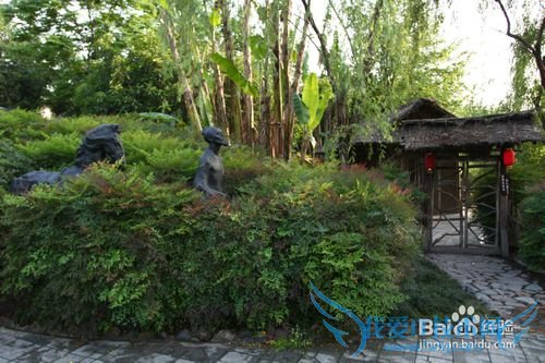 �ɶ��������ν���