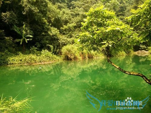 成都锦里武侯祠峨眉山都江堰超详细旅游攻略