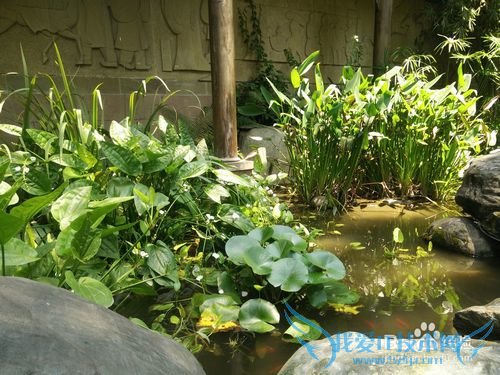 成都锦里武侯祠峨眉山都江堰超详细旅游攻略