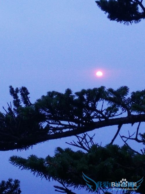 成都锦里武侯祠峨眉山都江堰超详细旅游攻略