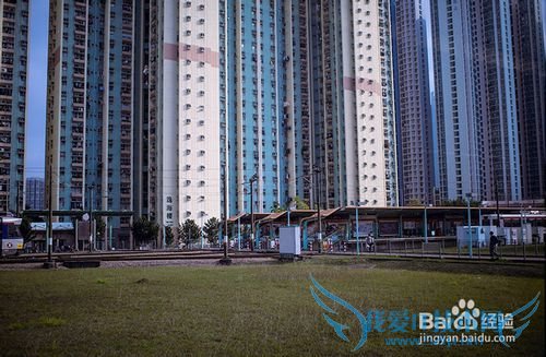 暑期香港旅游攻略和需要注意的地方