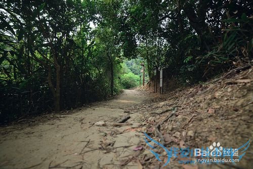 暑期香港旅游攻略和需要注意的地方