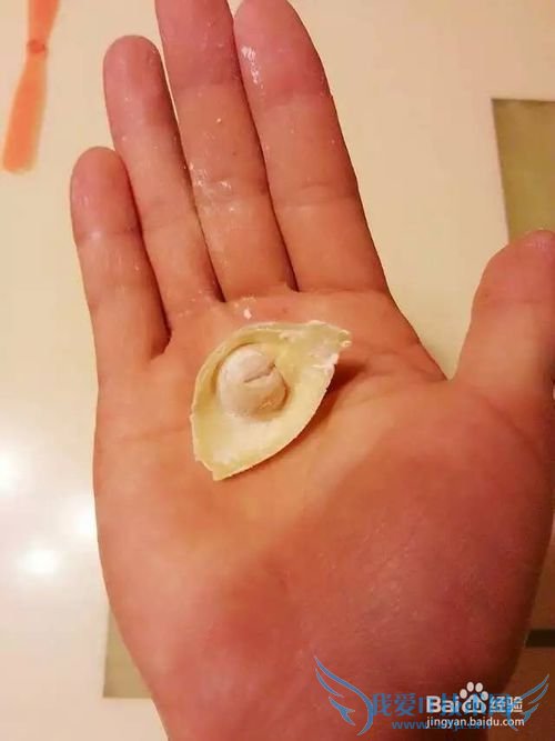 自制超好吃小馄饨