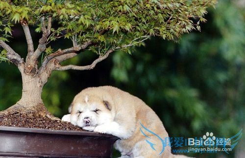 外出旅游防暑的绝招!!