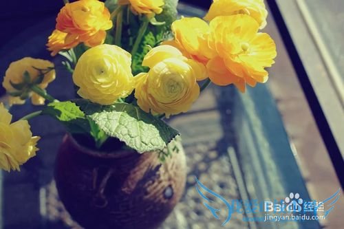 去丽江旅游必须明白的几件事