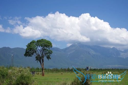 去丽江旅游必须明白的几件事