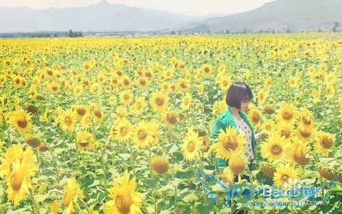 去丽江旅游必须明白的几件事