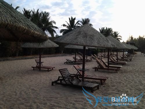 三亚八日旅游(天津-三亚双飞)