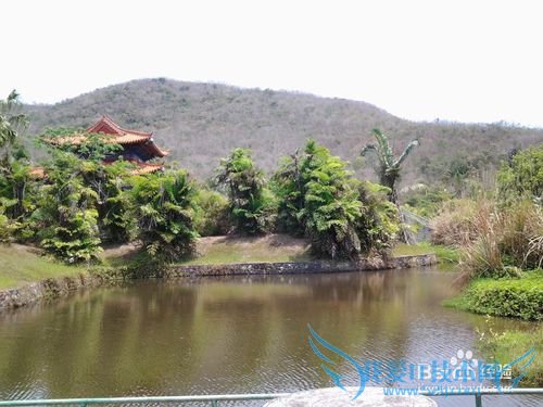 三亚八日旅游(天津-三亚双飞)