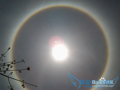 三亚八日旅游(天津-三亚双飞)