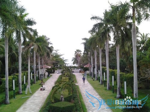 三亚八日旅游(天津-三亚双飞)