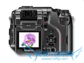 旅游需要带什么必需物品