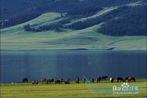 新疆旅游胜地推荐