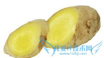 出门旅游最应该带的哪几样物品