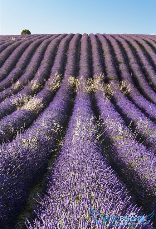 欧洲旅游景点介绍