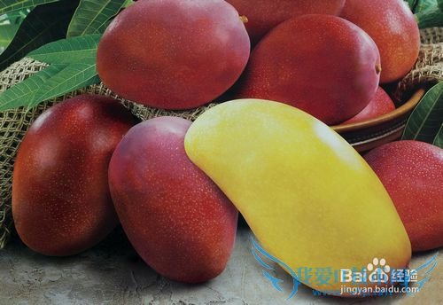 È¥º£ÄÏÂÃÓÎÐèҪעÒâʲô