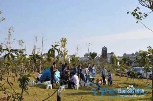 恒北梨花季旅游攻略