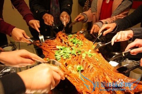 夏季去草原游玩需要注意的事项有哪些?