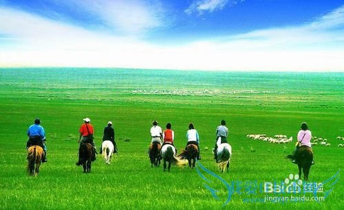 夏季去草原游玩需要注意的事项有哪些?