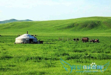 夏季去草原游玩需要注意的事项有哪些?