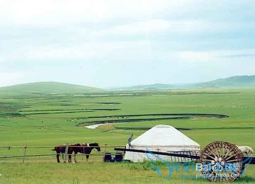 夏季去草原游玩需要注意的事项有哪些?