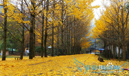 浙江必去的旅游景点(三)