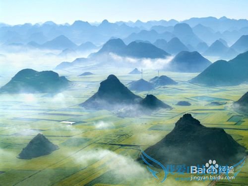 罗平油菜花旅游节观花必备攻略