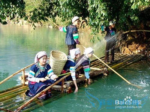 罗平油菜花旅游节观花必备攻略