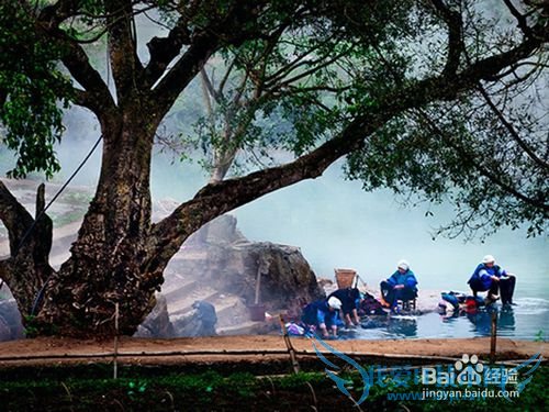 罗平油菜花旅游节观花必备攻略