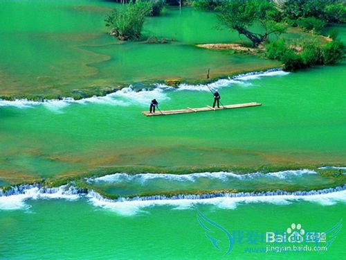 罗平油菜花旅游节观花必备攻略