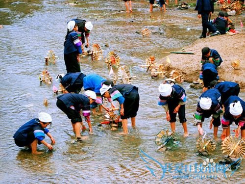 罗平油菜花旅游节观花必备攻略