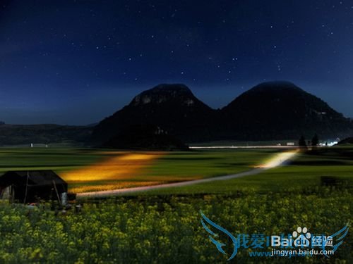 罗平油菜花旅游节观花必备攻略