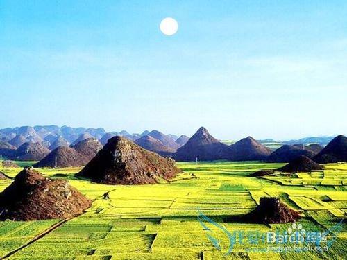 罗平油菜花旅游节观花必备攻略