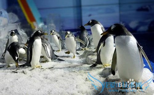 哈尔滨旅游景点