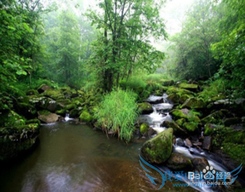 怎么选择十一的旅游圣地