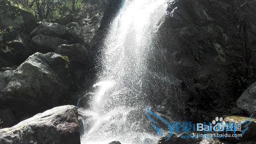 明月山旅游&云谷飞瀑