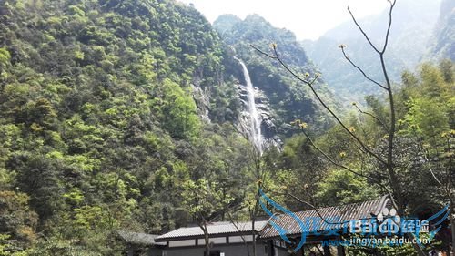 明月山旅游&云谷飞瀑