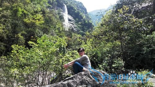 明月山旅游&云谷飞瀑