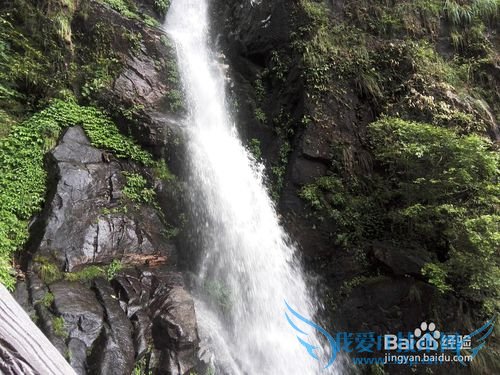 明月山旅游&云谷飞瀑