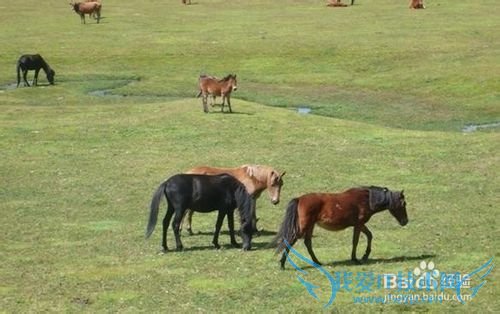 鸟吊山森林公园 旅游攻略