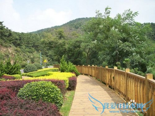 大连海之韵旅游攻略