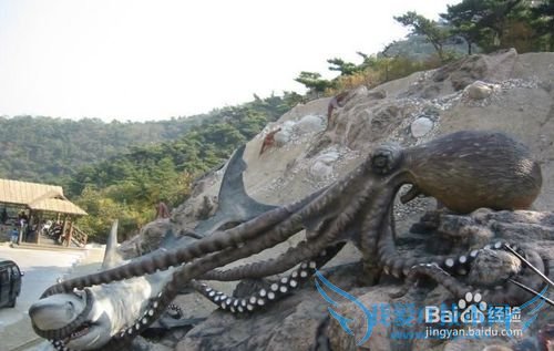 大连海之韵旅游攻略