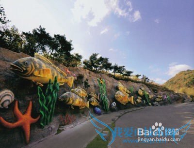 大连海之韵旅游攻略