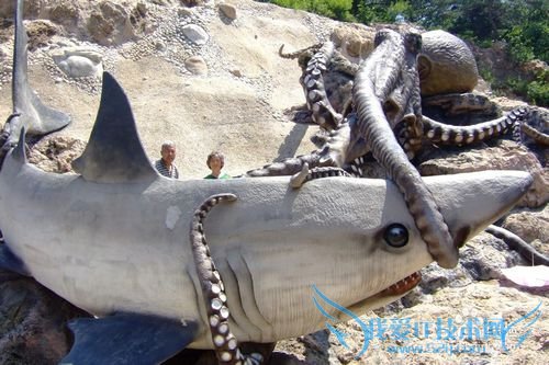 大连海之韵旅游攻略