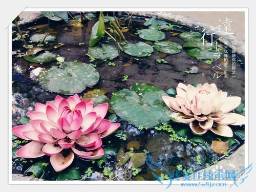 无锡太湖鼋头渚风景区