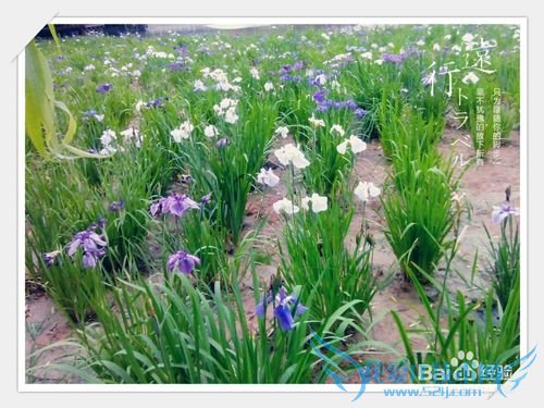 无锡太湖鼋头渚风景区