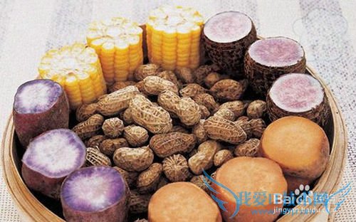 亲子游:如何成功