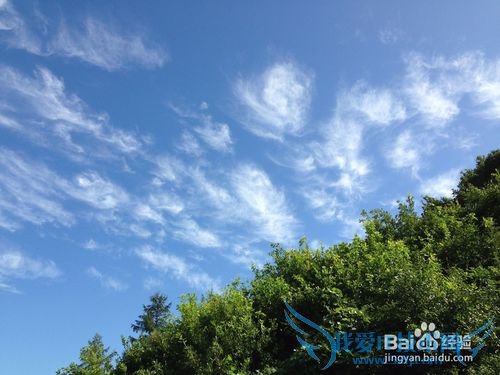 按月份出行旅游