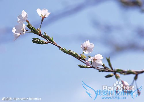 旅游最应该该注意什么?